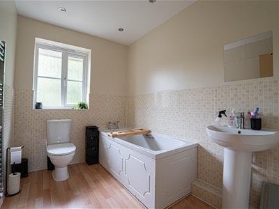 Picture 24